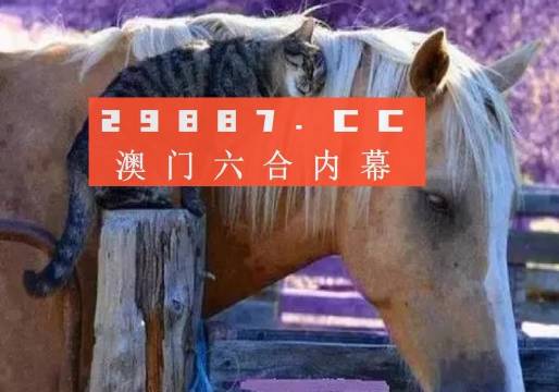 澳门一肖一码一一特一中厂i,精选资料解析大全