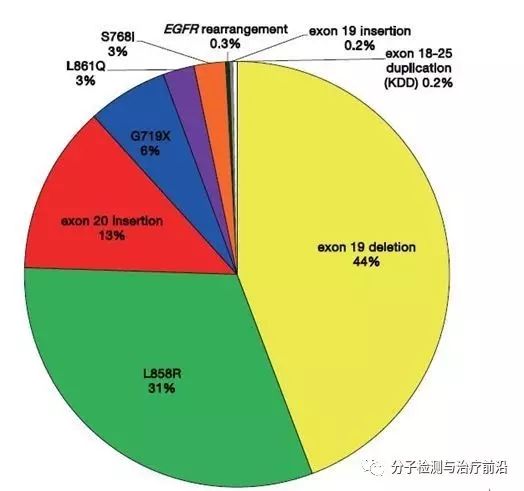 新澳门期期准精准,精选资料解析大全