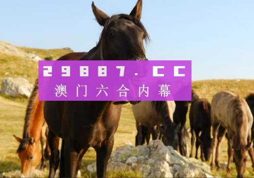 澳门管家一肖一码100,精选资料解析大全