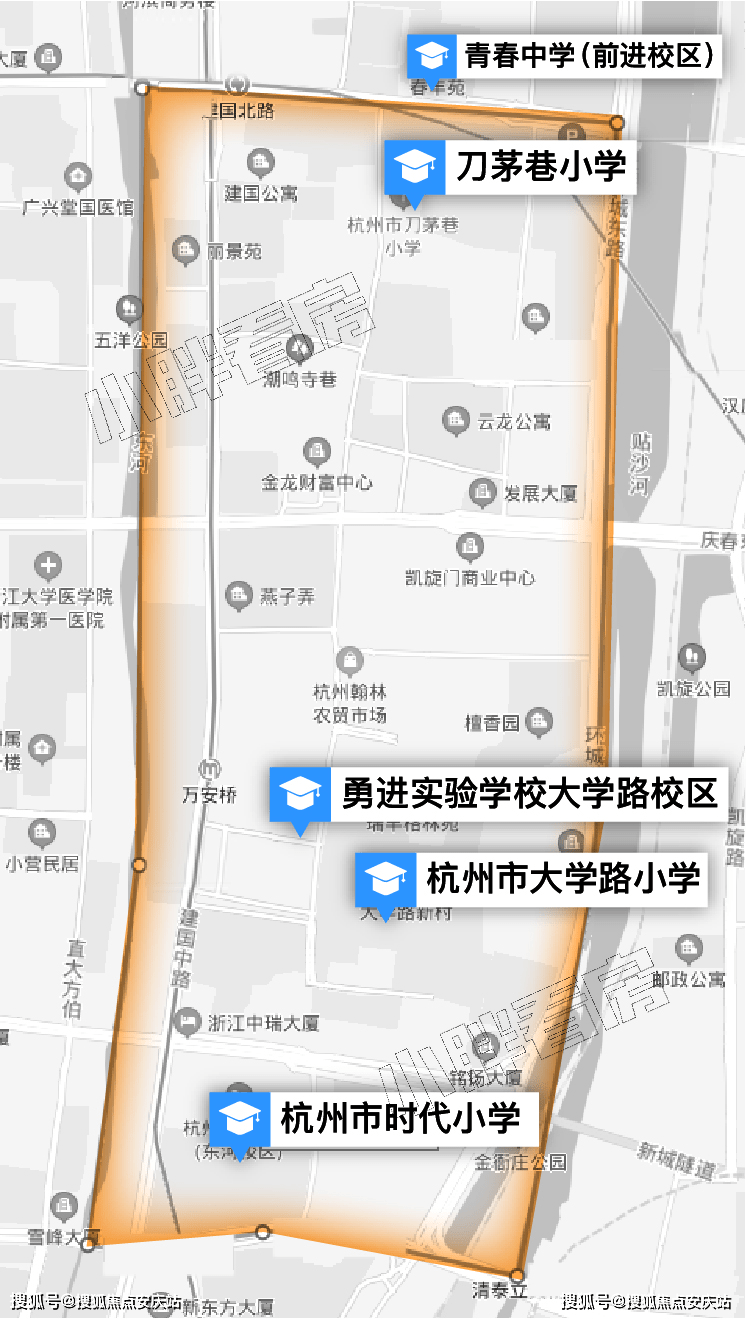 新澳精准资料免费大全,精选资料解析大全