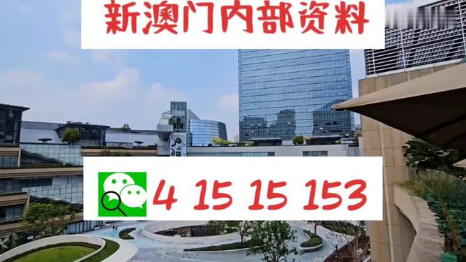 澳门奥门新资料大全,精选资料解析大全