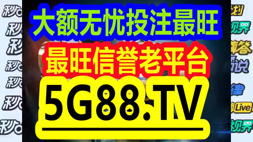 管家婆一码中一肖2024,精选资料解析大全