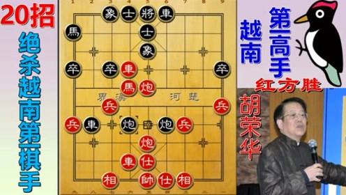 2024新澳兔费资料琴棋,精选资料解析大全