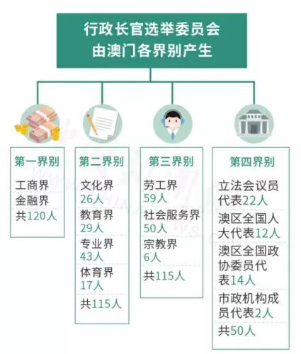 新澳今天最新资料晚上,精选资料解析大全