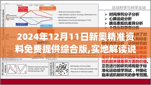 2024新奥资料免费精准资料,精选资料解析大全