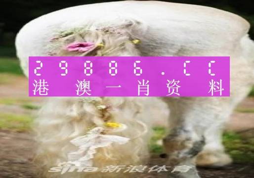 澳门一肖一码准选一码2023年,精选资料解析大全