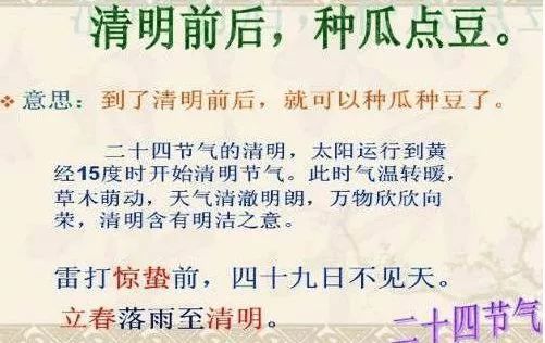 黄大仙精准资料大全,精选资料解析大全,黄大仙精准资料大全与精选资料解析大全