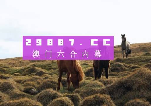 最准一肖一码100%香港78期,精选资料解析大全,最准一肖一码100%香港78期精选资料解析大全