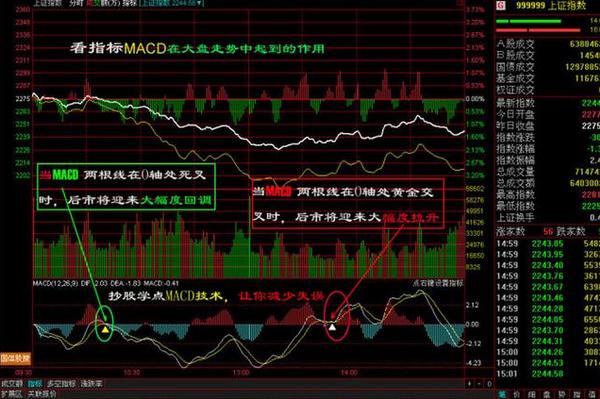 香港精准特马免费资料|精选解释解析落实,香港精准特马免费资料与精选解释解析落实