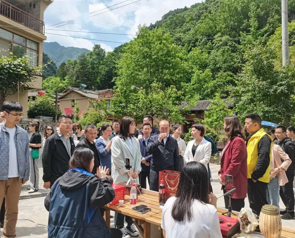 香港二四六免费开奖直播视频|精选解释解析落实,香港二四六免费开奖直播视频，解析与落实精选策略