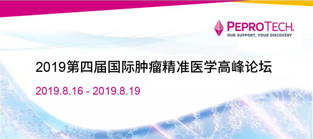 7777788888精准论坛|精选解释解析落实,关于精准论坛的解析与落实策略——以数字7777788888为指引