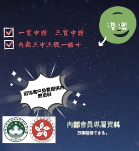 澳门王中王100%的资料三中三|精选解释解析落实,澳门王中王100%的资料解析与落实精选策略