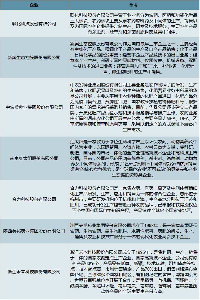 2024新奥官方正版资料免费发放|精选解释解析落实,揭秘2024新奥官方正版资料免费发放背后的秘密，精选解析落实的重要性