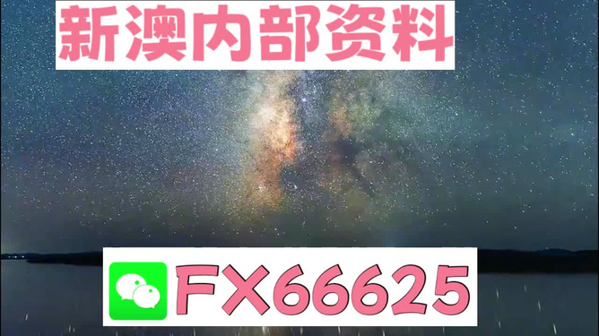 2024新澳天天彩免费资料|精选解释解析落实,揭秘2024新澳天天彩，免费资料精选与解析落实之道