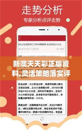 2024新奥资料免费精准天天大全|精选解释解析落实,关于新奥资料免费精准天天大全的精选解析与落实策略