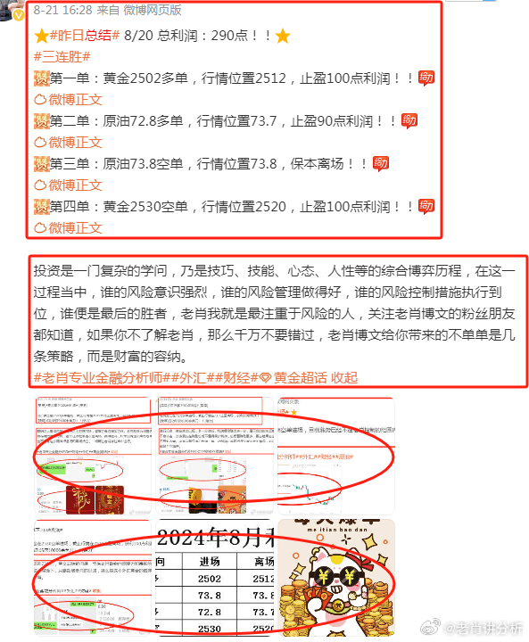 香港王中王一肖最准|精选解释解析落实,香港王中王一肖最准，精选解释解析落实