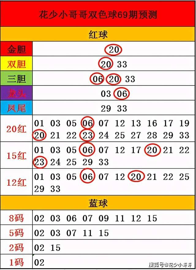 三肖必中特三期必开奖号|精选解释解析落实,关于三肖必中特三期必开奖号的研究与解析