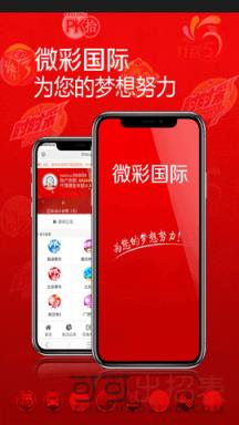 2024年新奥开奖结果查询|精选解释解析落实,揭秘新奥开奖结果查询系统，解析与落实精选指南