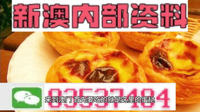 2024新澳门正版精准免费大全|精选解释解析落实,新澳门正版精准免费大全，解析与落实精选策略