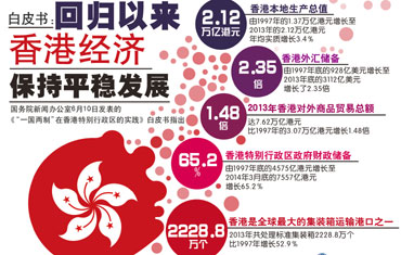 2024年香港正版资料免费大全惡|精选解释解析落实,2024年香港正版资料免费大全精选解析落实详解