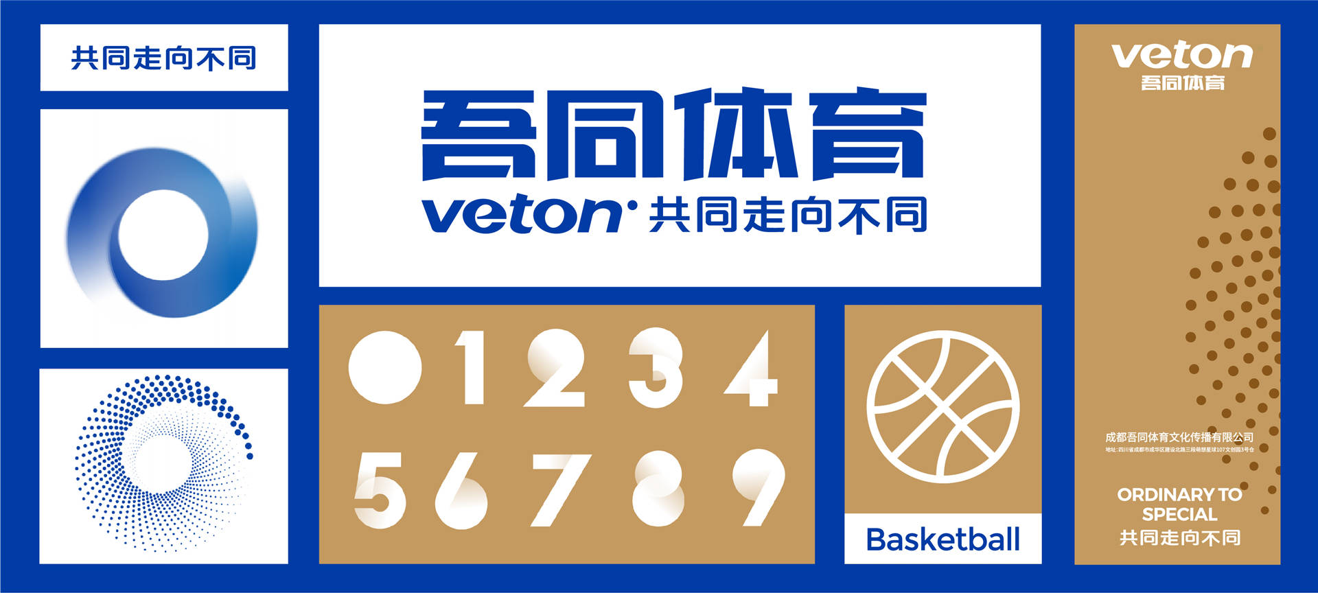 2024新澳门正版全年免费资料|精选解释解析落实,揭秘2024新澳门正版全年免费资料，精选解释解析与落实策略