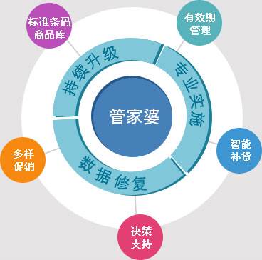 管家婆资料精准大全|精选解释解析落实,管家婆资料精准大全，精选解释解析落实