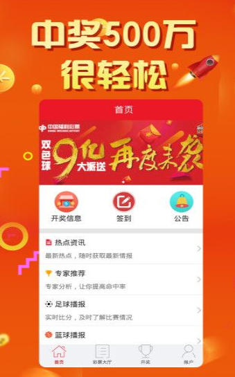 949494王中王内部精选|精选解释解析落实,揭秘王中王内部精选，解析、落实与深度探索