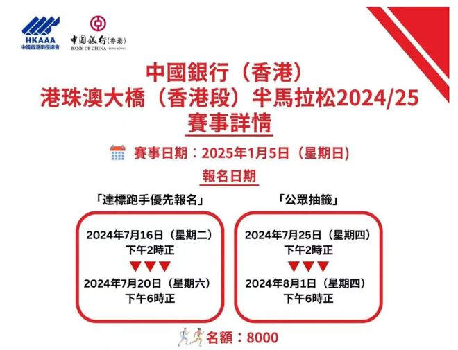 2024新澳今晚资料|精选解释解析落实,新澳今晚资料解析与落实策略，迈向成功的关键指引