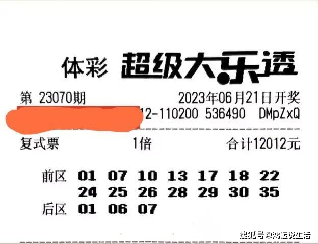 今天澳门六开彩开奖+结果2024|精选解释解析落实,澳门六开彩开奖结果解析与预测（精选解析落实）