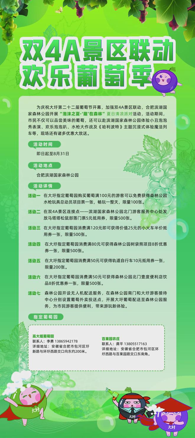 2024新奥精准正版资料大全 |精选解释解析落实,新奥精准正版资料大全，深度解析与落实策略