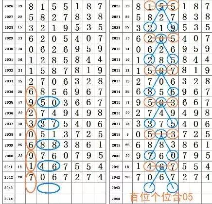 一肖一码一必中一肖|精选解释解析落实,一肖一码一必中，精选解释解析落实之道
