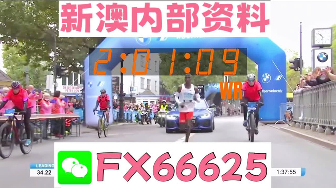 2024新澳精准免费资料|精选解释解析落实,揭秘2024新澳精准免费资料，解析、精选与落实之道