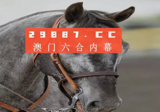 澳门正版一肖一码|精选解释解析落实,澳门正版一肖一码，精选解释解析与落实策略