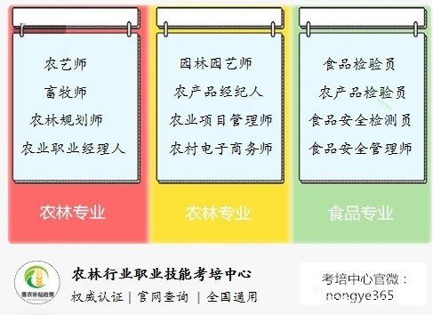 白小姐精准免费四肖|精选解释解析落实,白小姐精准免费四肖精选解释解析落实