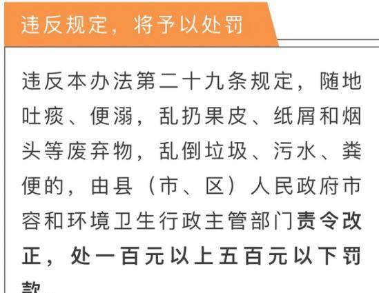 三码必中一免费一肖2024年|精选解释解析落实,三码必中一免费预测一肖，解析与落实精选策略