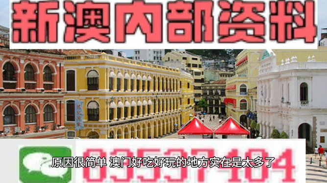2024澳门濠江免费资料|精选解释解析落实,澳门濠江免费资料与解析落实——迈向未来的关键要素