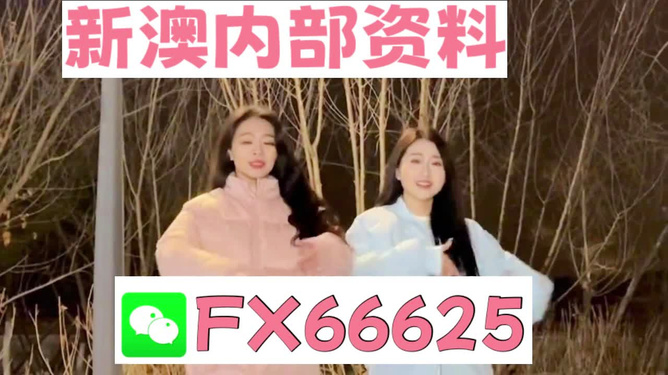 管家婆一码一肖100中奖舟山|精选解释解析落实,管家婆一码一肖与舟山中奖传奇，解析与落实精选解释