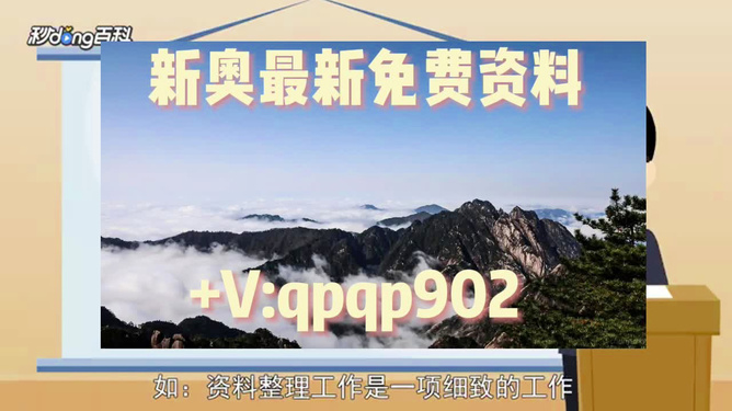 2024新奥全年免费资料,准确资料|精选解释解析落实,关于新奥2024全年免费资料的准确资料与解析落实精选