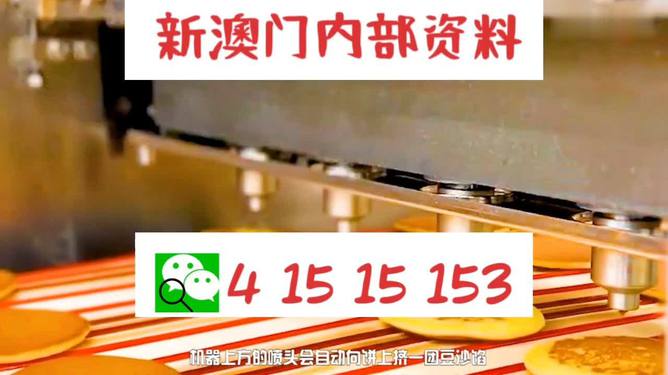新澳门内部精准二肖|精选解释解析落实,关于新澳门内部精准二肖的解析与落实，一种违法犯罪行为的探讨