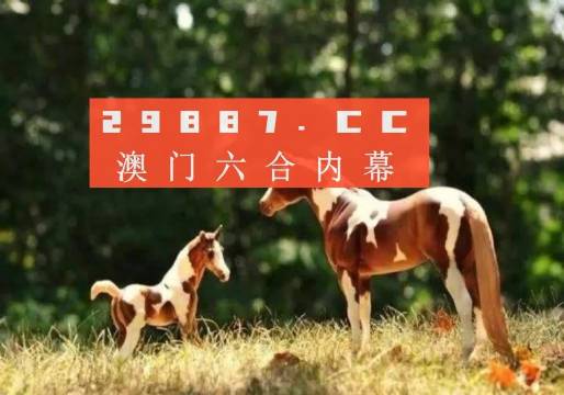 2024年香港四不像资料图|精选解释解析落实, 2024年香港四不像资料图精选解析与落实策略