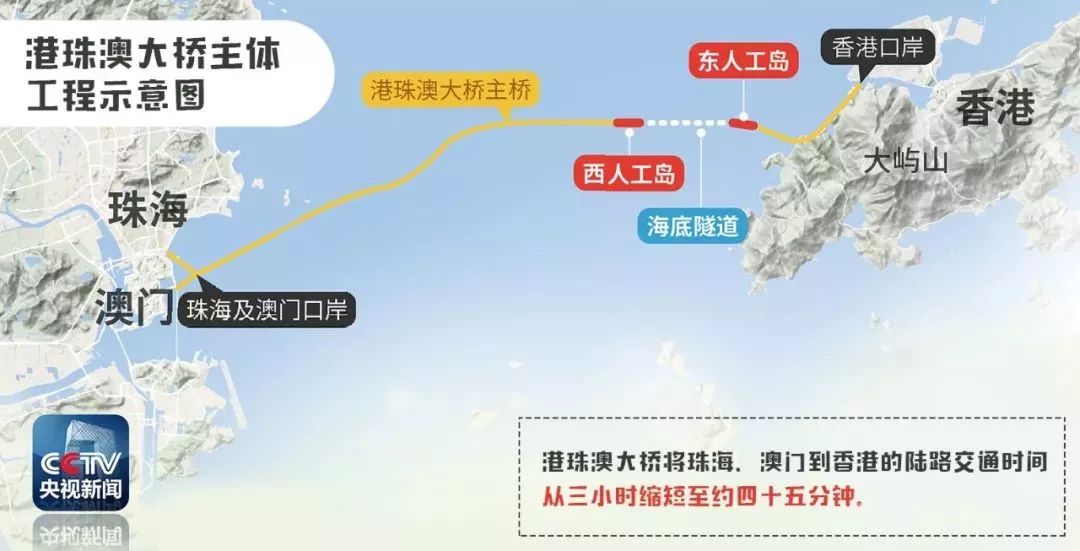 2024新澳免费资科五不中料|精选解释解析落实,解析新澳免费资科五不中料现象，精选策略与落实行动
