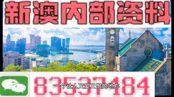 新澳门内部码10码网站|精选解释解析落实,关于新澳门内部码与网站的解析及落实，精选解释与解析的重要性