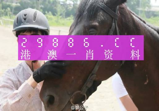 今晚澳门精准一肖一马|精选解释解析落实,今晚澳门精准一肖一马，解析与落实精选解释