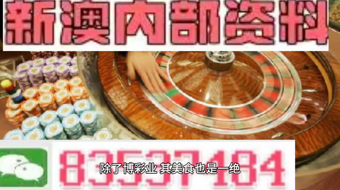新澳正版资料与内部资料|精选解释解析落实,新澳正版资料与内部资料的精选解释解析及落实策略
