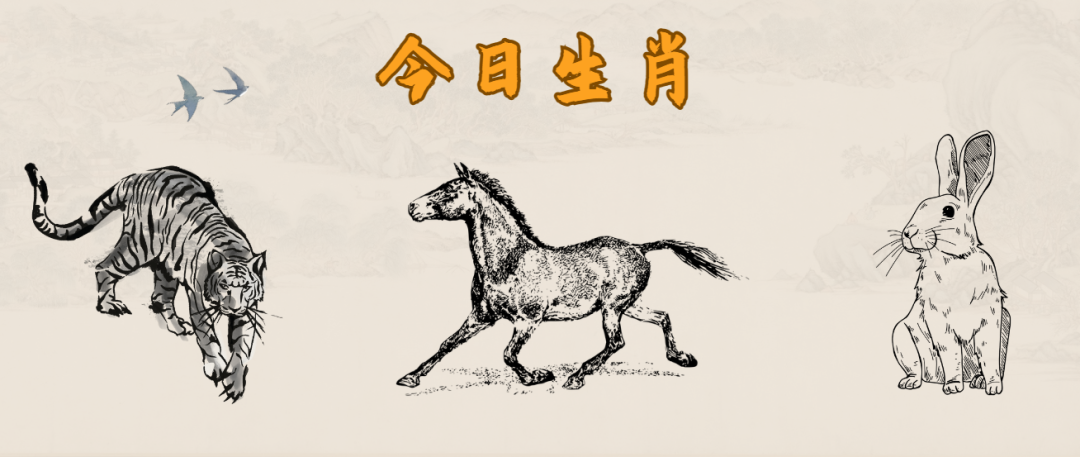 四不像正版资料2024年|精选解释解析落实,四不像正版资料2024年精选解释解析落实策略