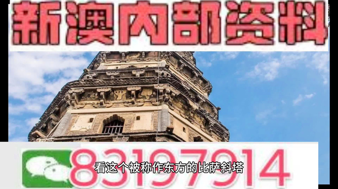 2024新澳精准正版资料|精选解释解析落实,揭秘2024新澳精准正版资料，解析与落实之道