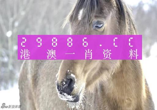 澳门一肖一码100准最准一肖|精选解释解析落实,澳门一肖一码，精准预测与深入解析