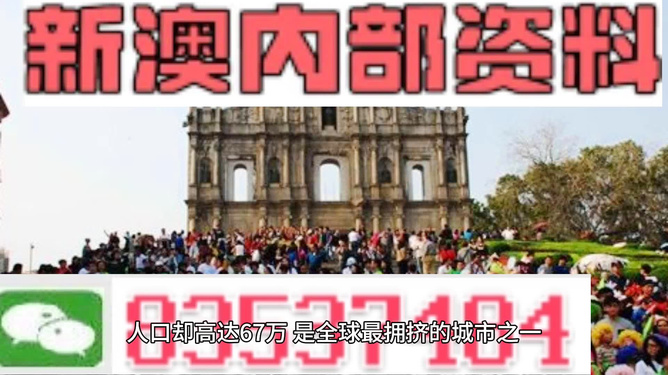澳门内部资料精准公开|精选解释解析落实,澳门内部资料精准公开与精选解析落实的深度探讨