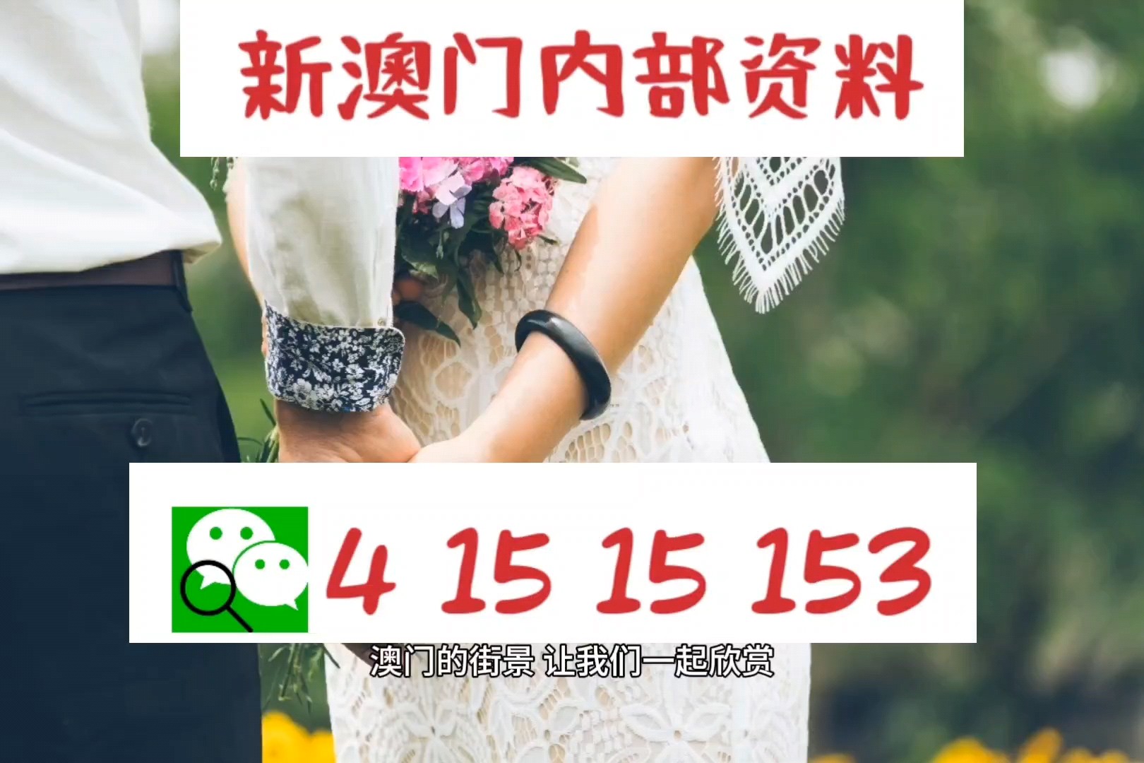 澳门今晚特马开什么号|精选解释解析落实,澳门今晚特马号码解析与精选策略，深度解析落实之道