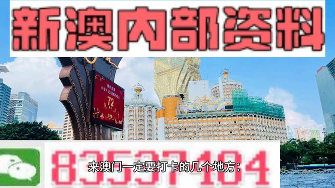 2024新澳门正版免费资本车|精选解释解析落实,新澳门正版免费资本车，解析与落实精选策略